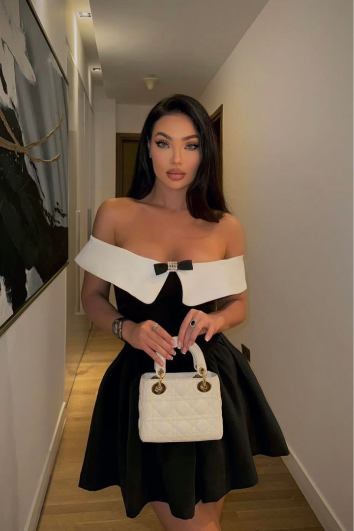 Penelope Kristal Mini Elbise